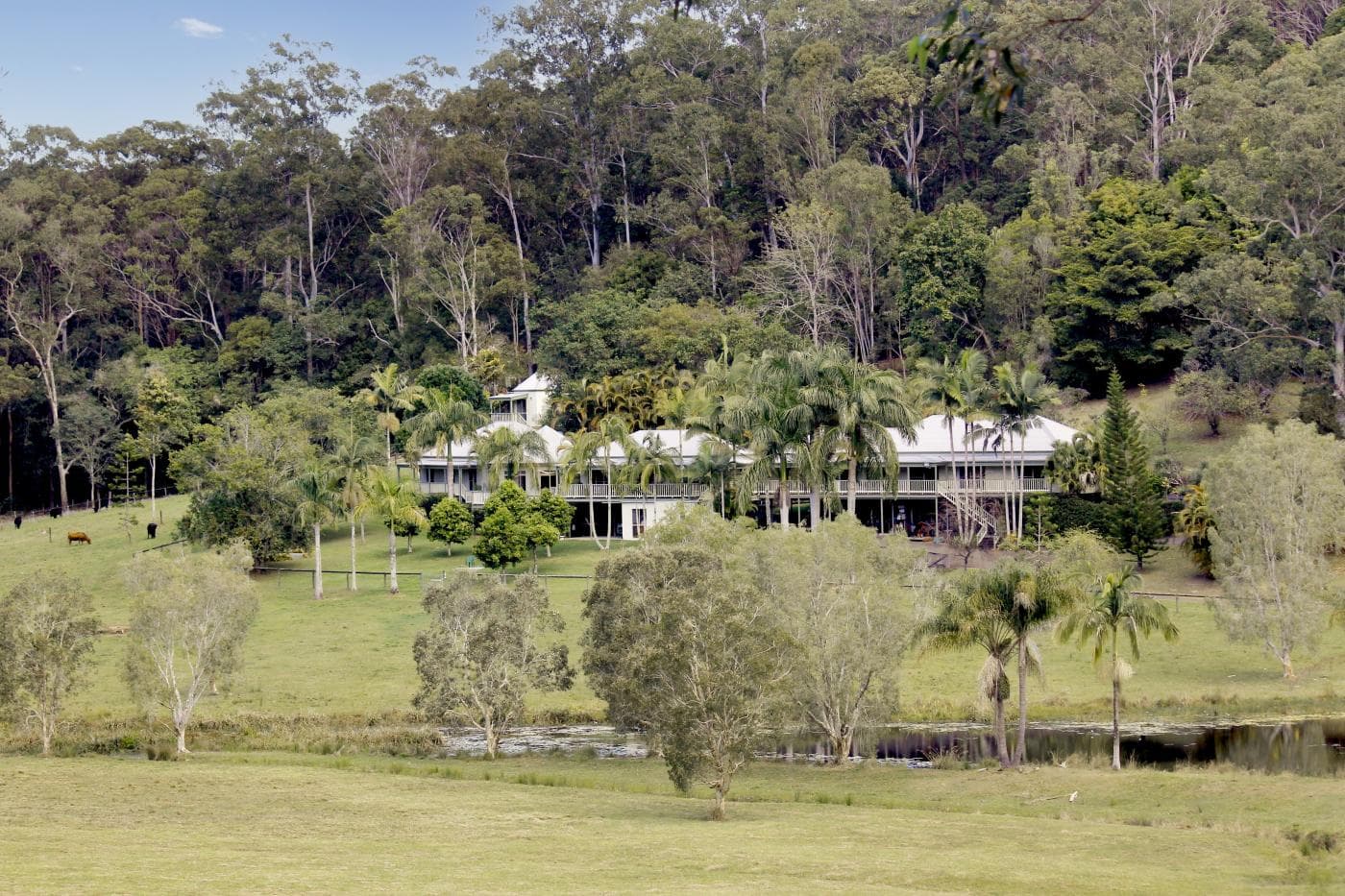 279 Seib Rd, Eumundi - Image 1