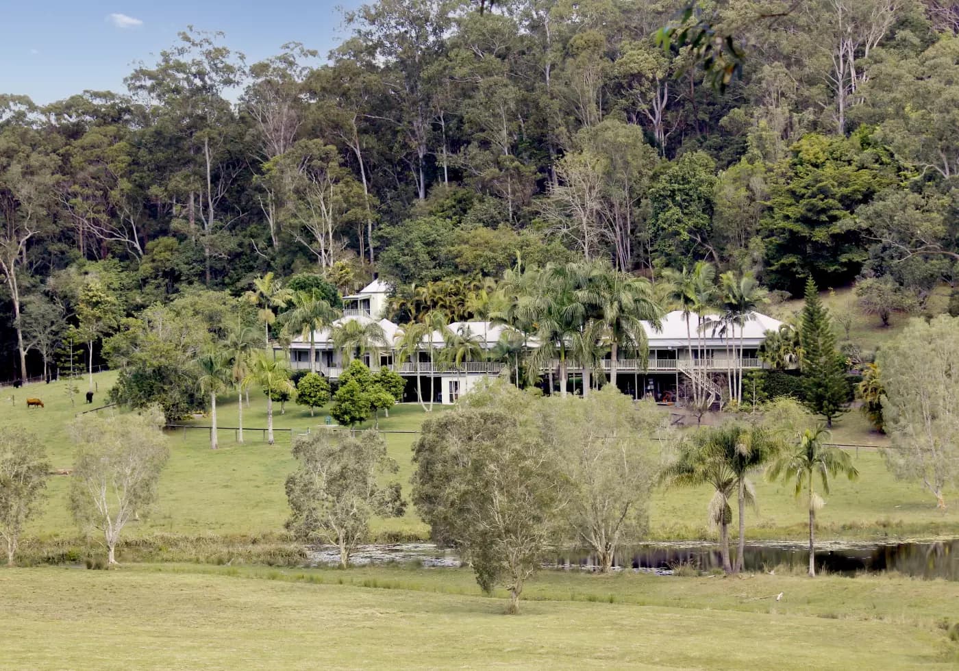 279 Seib Rd, Eumundi - Thumbnail 2