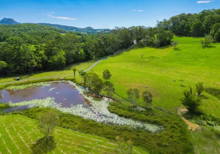 279 Seib Rd, Eumundi - Thumbnail 5