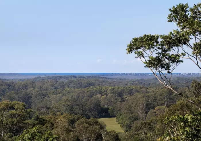 21 Valley Ct, Doonan - Thumbnail 4