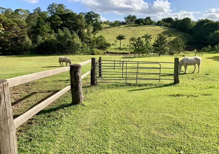 191 Lone Hand Rd, Eumundi - Thumbnail 5