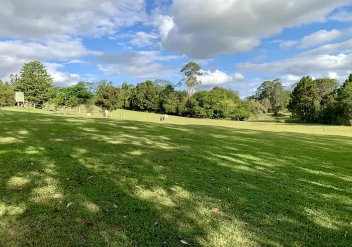 191 Lone Hand Rd, Eumundi - Thumbnail 6