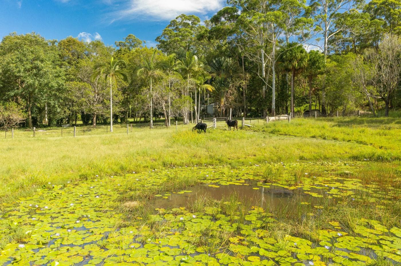 66 Seib Rd, Eumundi - Image 1