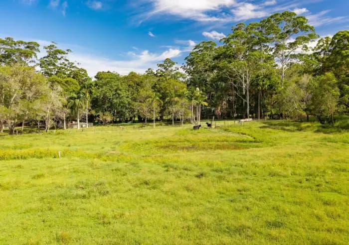 66 Seib Rd, Eumundi - Thumbnail 5