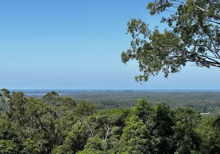 399 Sunrise Rd, Tinbeerwah - Thumbnail 4