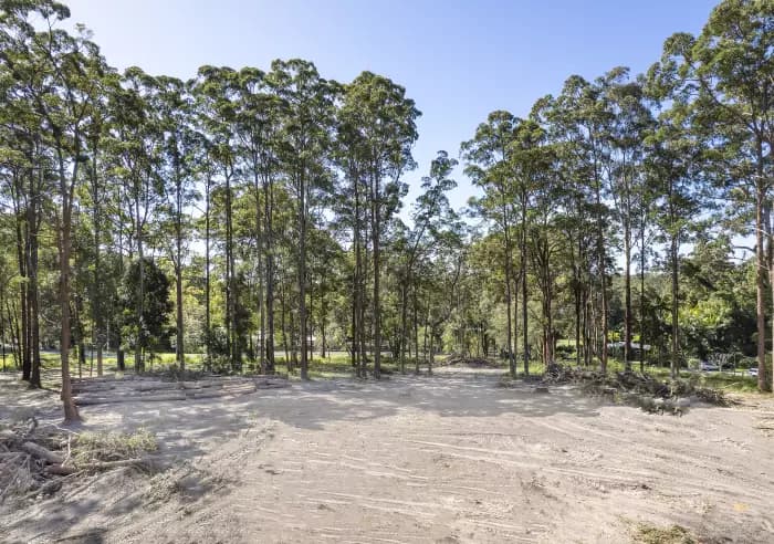 43 Wattlebird Dr, Doonan - Thumbnail 4