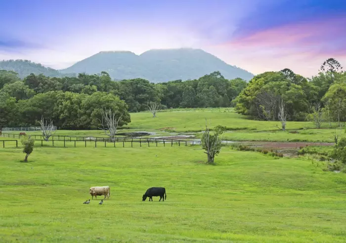 70 Eumundi Range Rd, Eumundi - Thumbnail 4