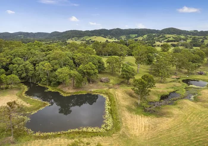261 Eumundi-Kenilworth Rd, Eerwah Vale - Thumbnail 5