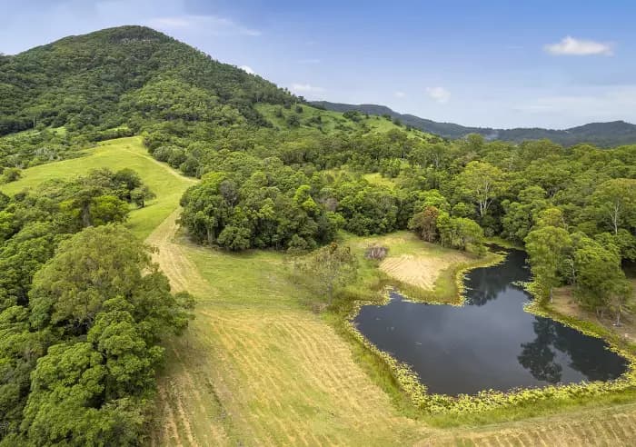 261 Eumundi-Kenilworth Rd, Eerwah Vale - Thumbnail 6