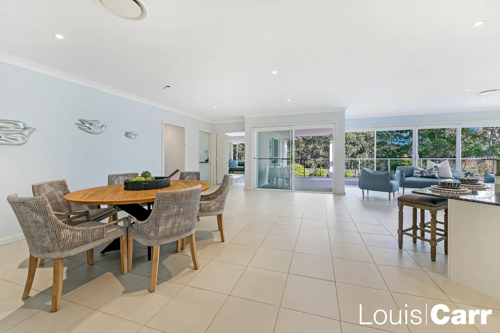 22 Huntingdale Circle, Castle Hill NSW, Castle Hill - Thumbnail 3