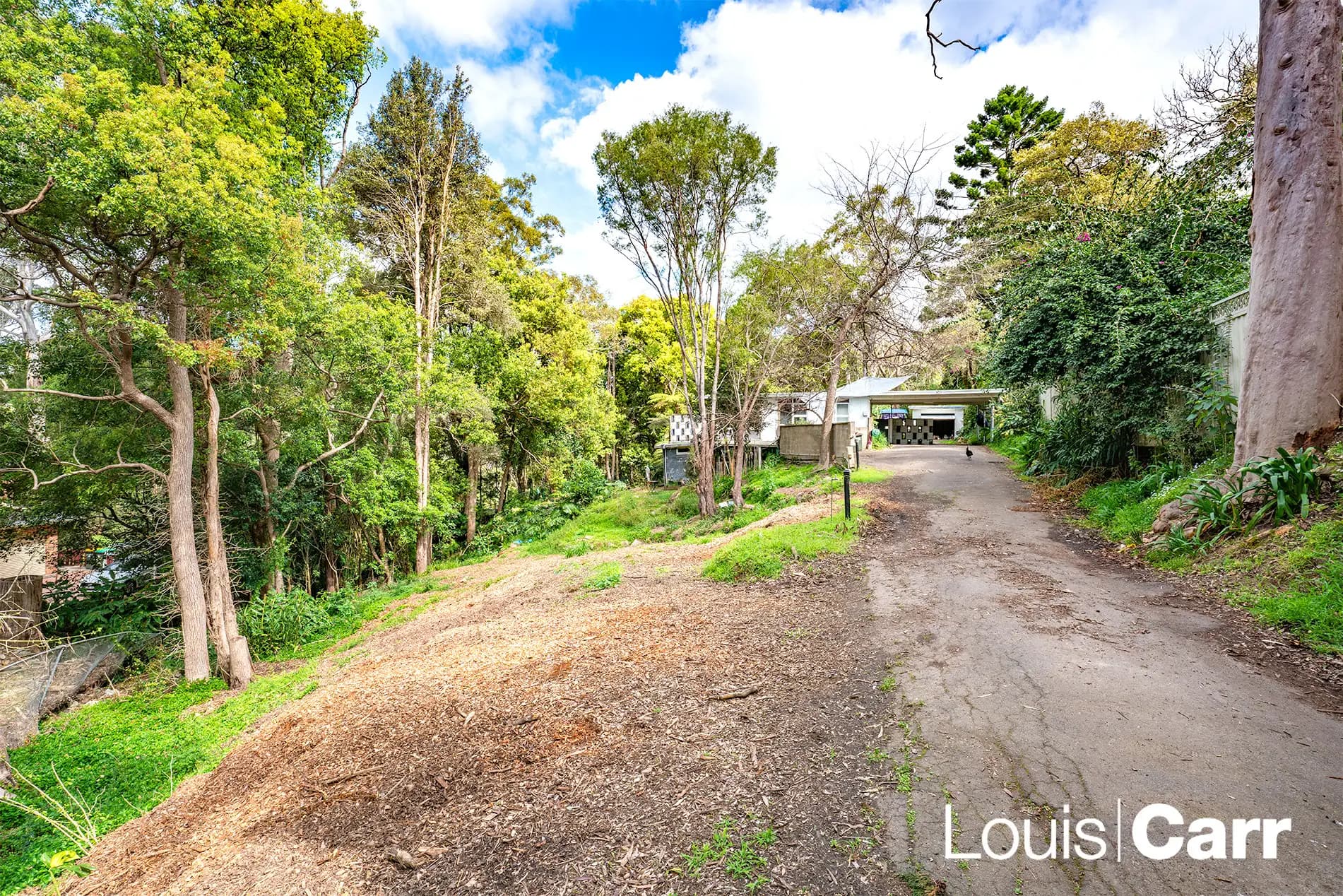 51 Ashley Street, Hornsby NSW, Hornsby - Thumbnail 5