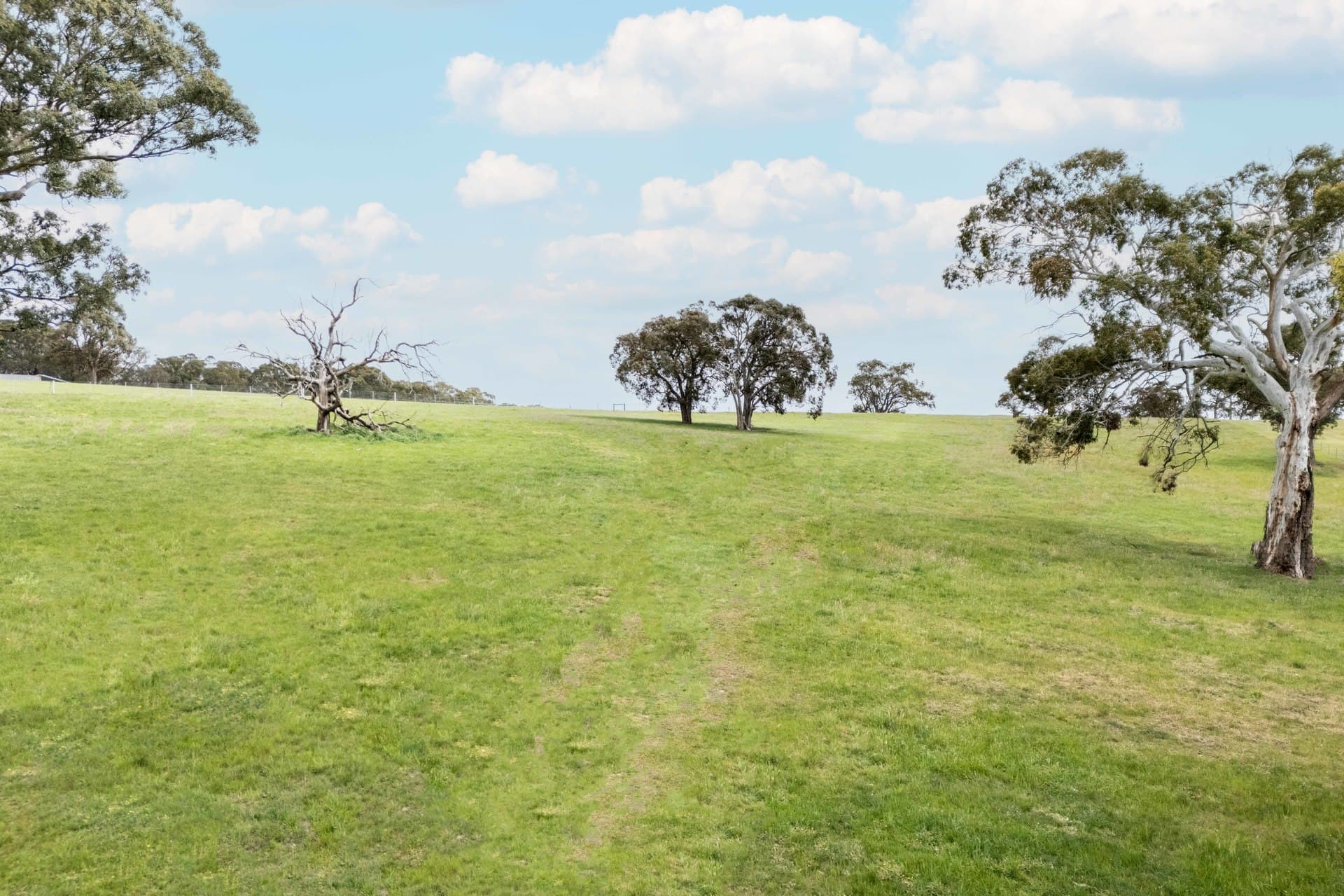 15 Sir Leo Curtis Drive, Wandong - Thumbnail 7