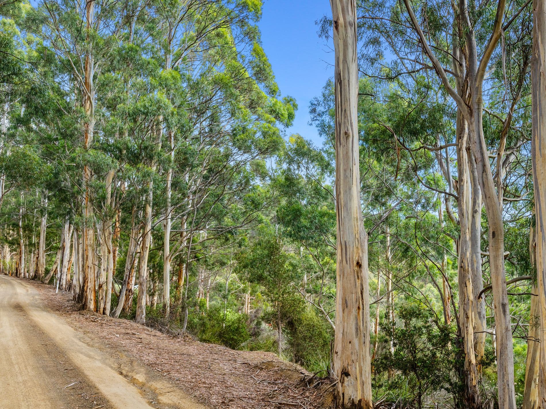 Lot1,  Devlyns Road, BIRCHS BAY TAS, Devlyns Road - Thumbnail 8