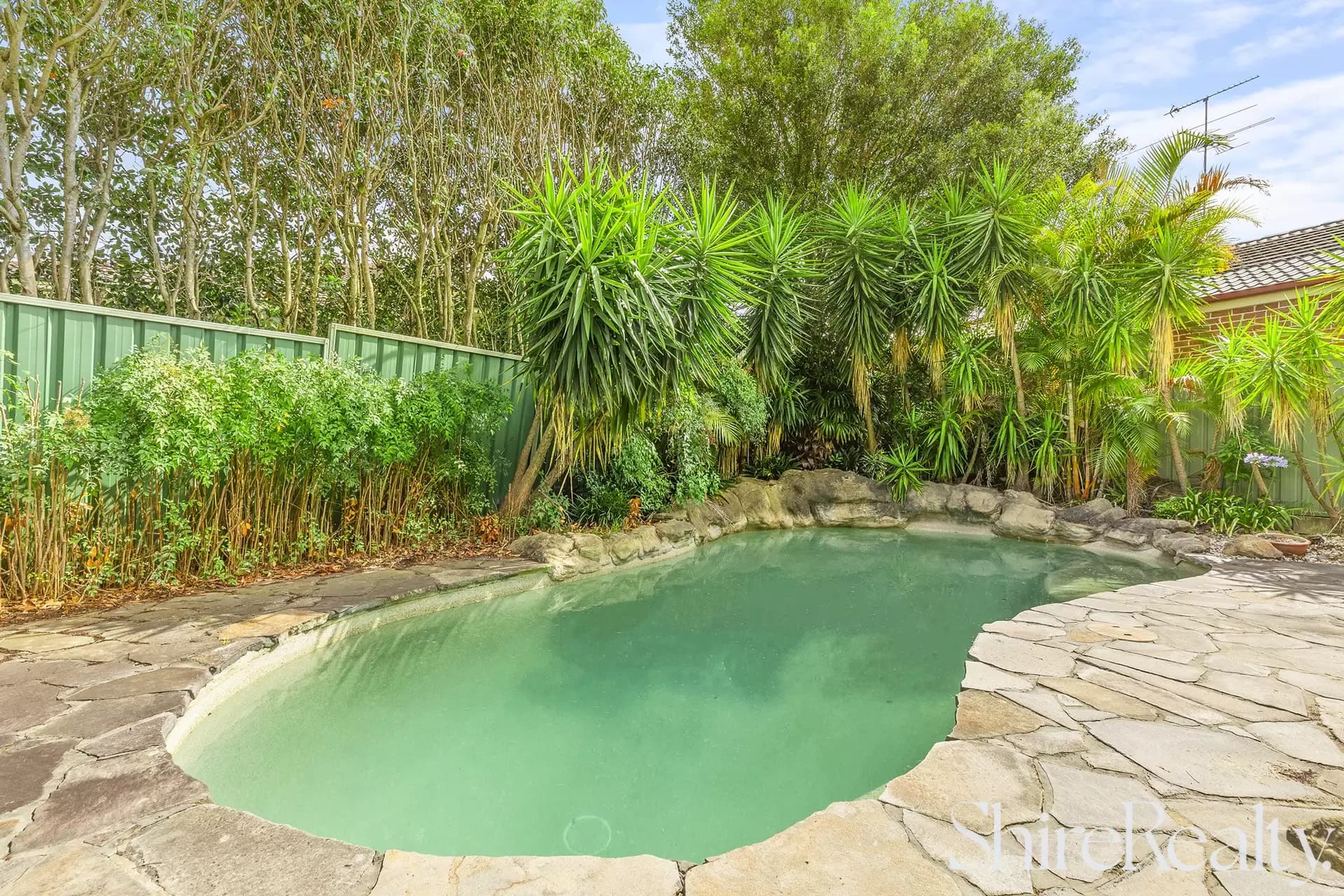 9 Ancilia Close, Quakers Hill, Quakers Hill - Thumbnail 4