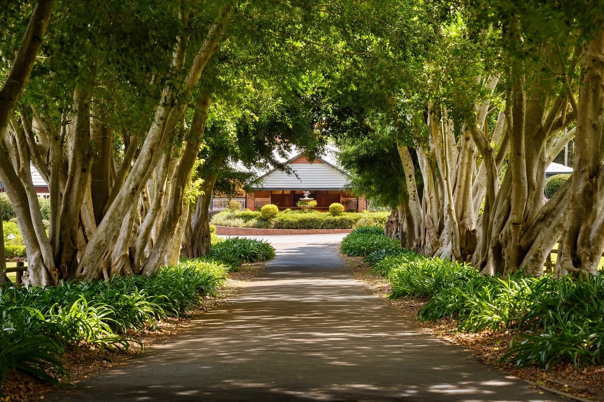 105 Lanes Road, Wongawallan, QLD, 4210, Wongawallan - Thumbnail 2