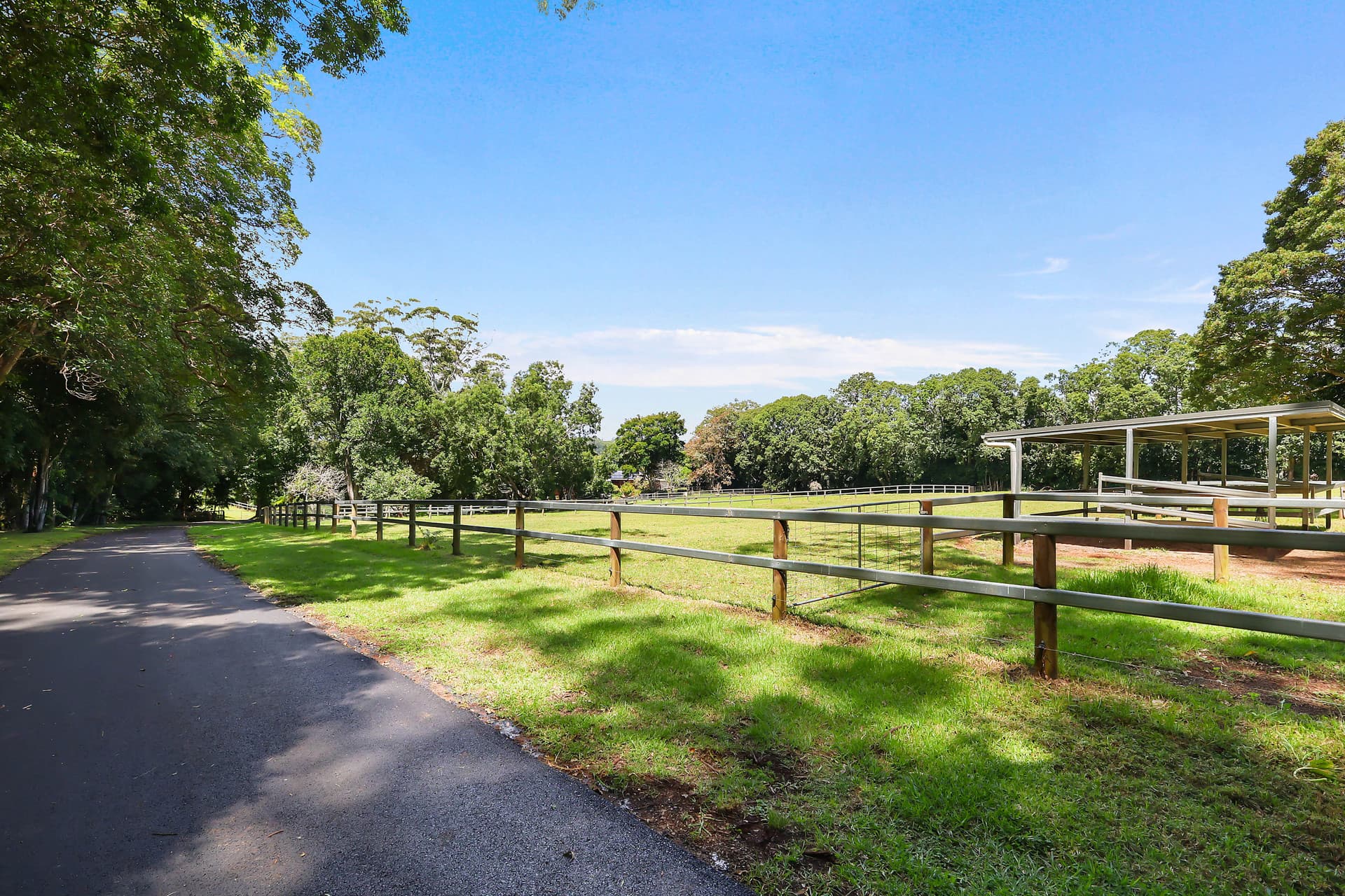 22 Bartle Road, Tamborine Mountain, QLD, 4272, Tamborine Mountain - Thumbnail 6