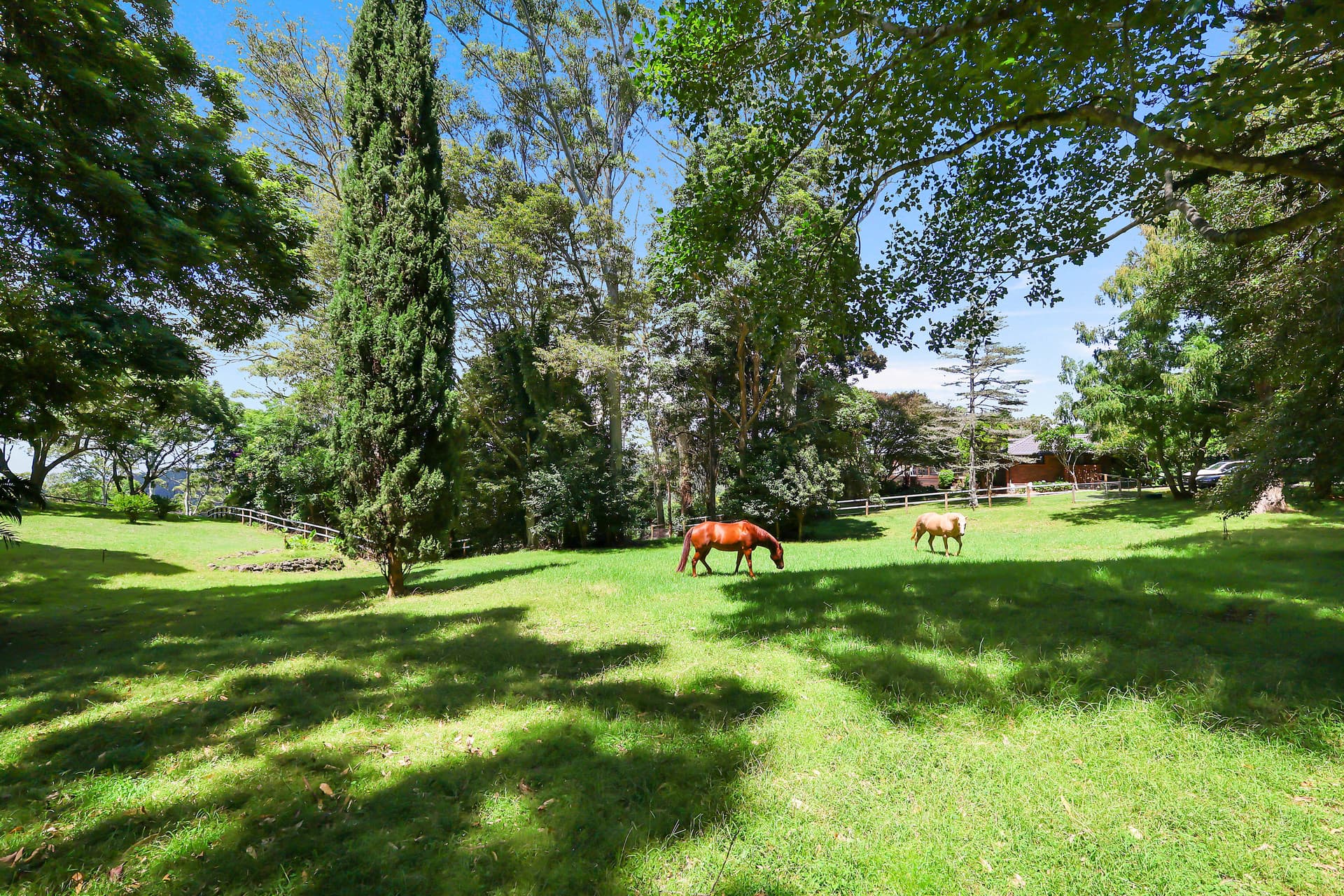 22 Bartle Road, Tamborine Mountain, QLD, 4272, Tamborine Mountain - Thumbnail 8