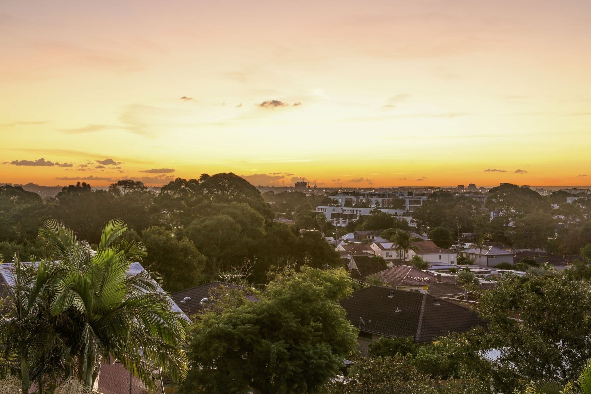 8 Holloway Street, Pagewood - Thumbnail 8