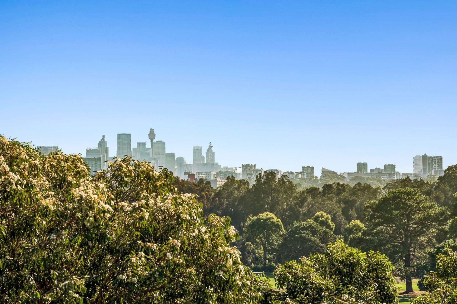 402/104A Bay Street, Pagewood - Thumbnail 3