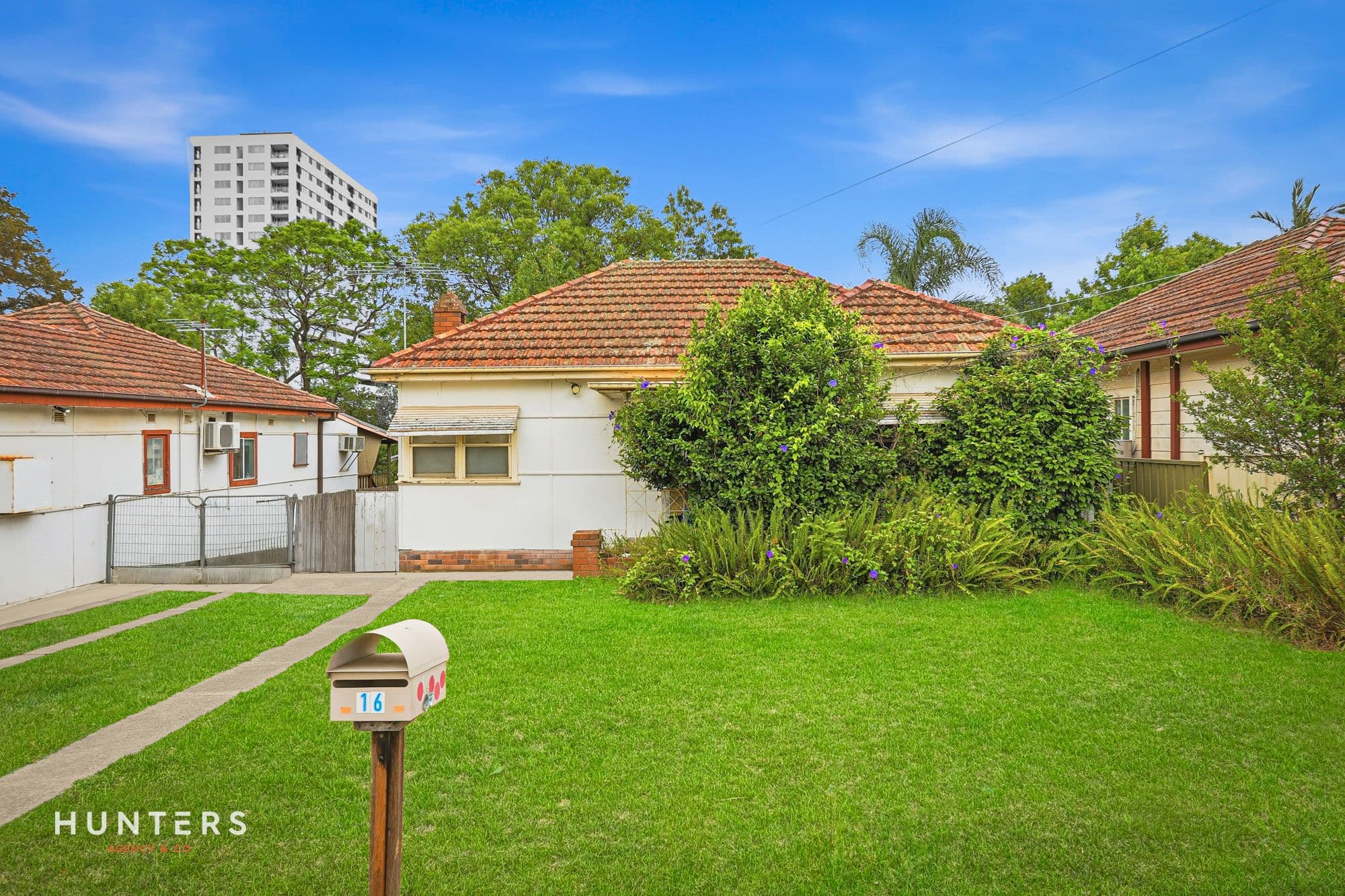 12-18 Peter Street, Blacktown, Blacktown - Thumbnail 4