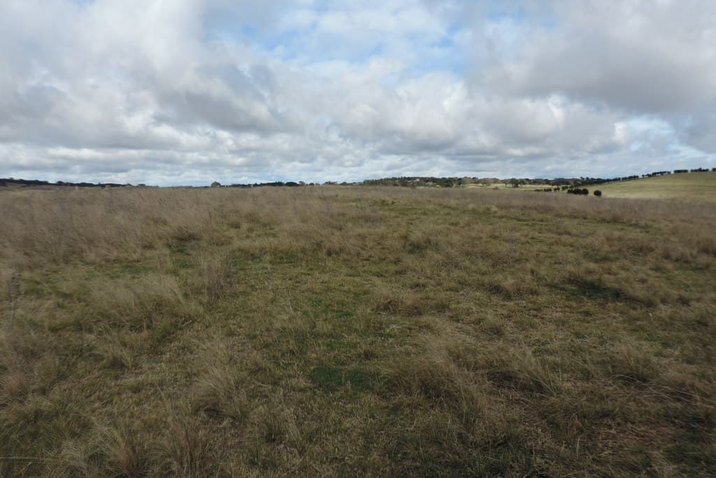 153 Range Road, Goulburn - Thumbnail 3