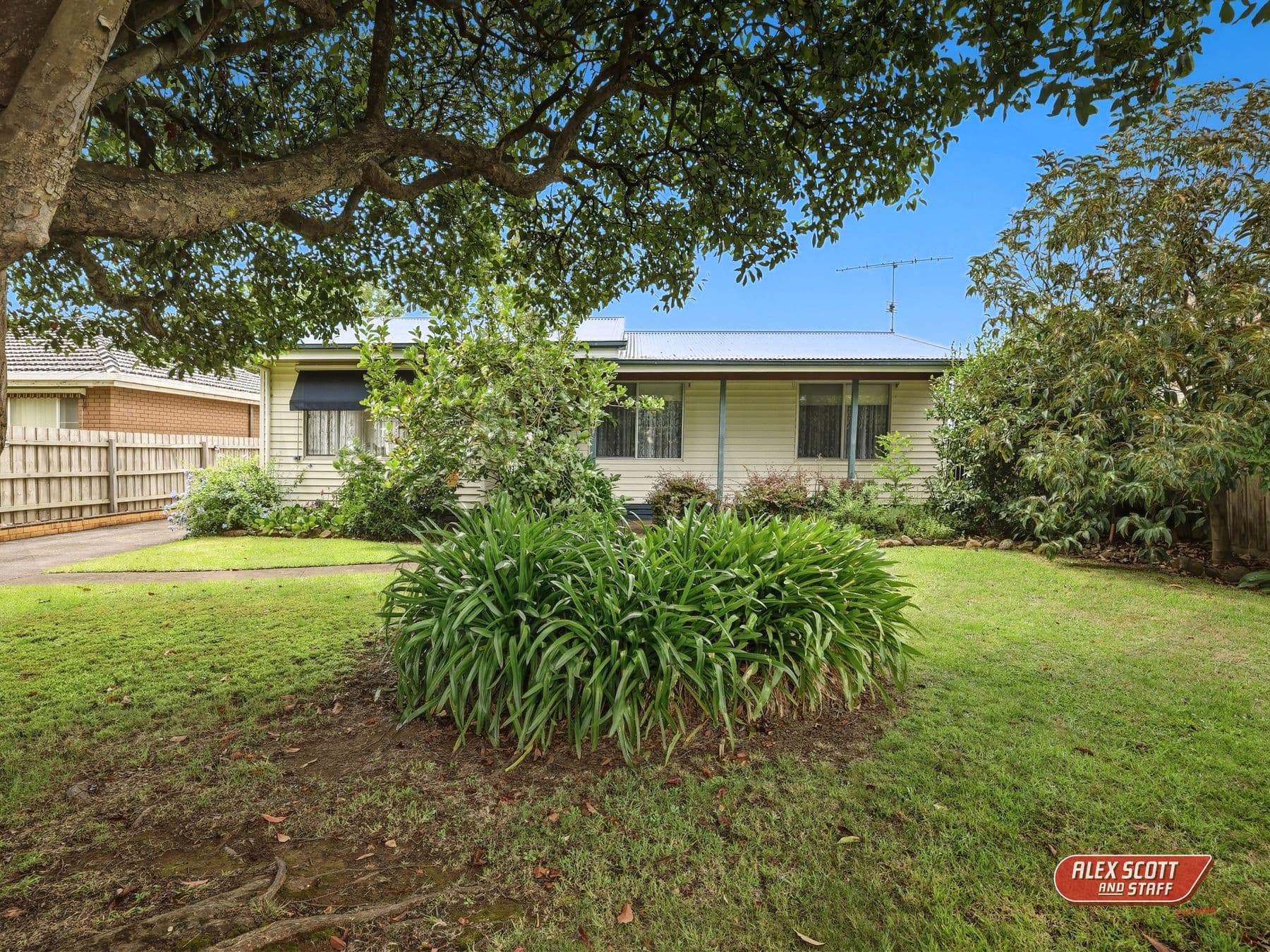 16 Miller Street, Dumbalk, Dumbalk - Thumbnail 2
