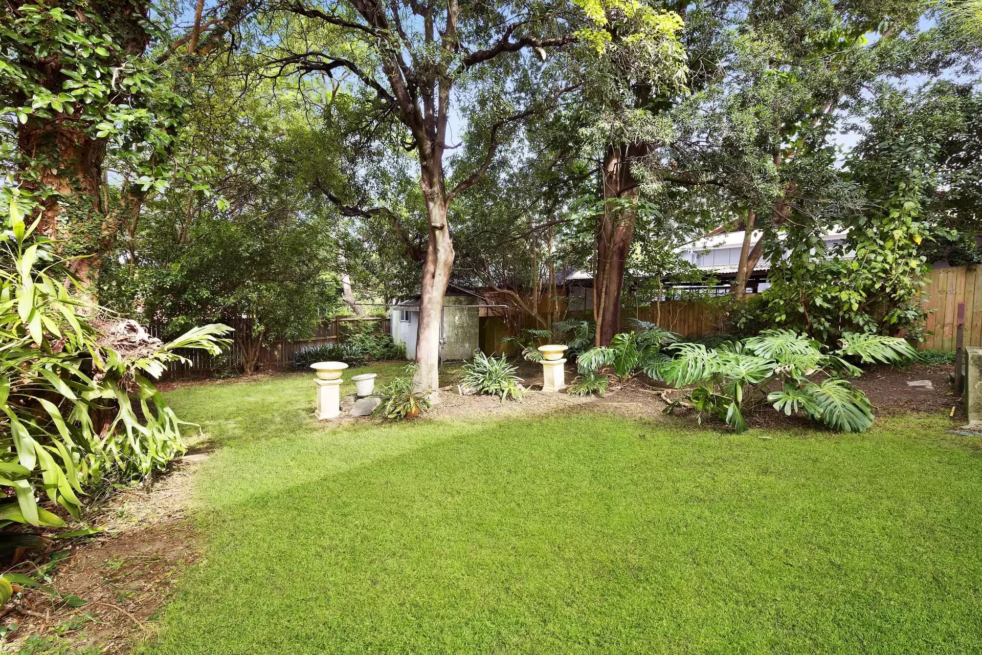 59 Ridge Street, Gordon - Thumbnail 6