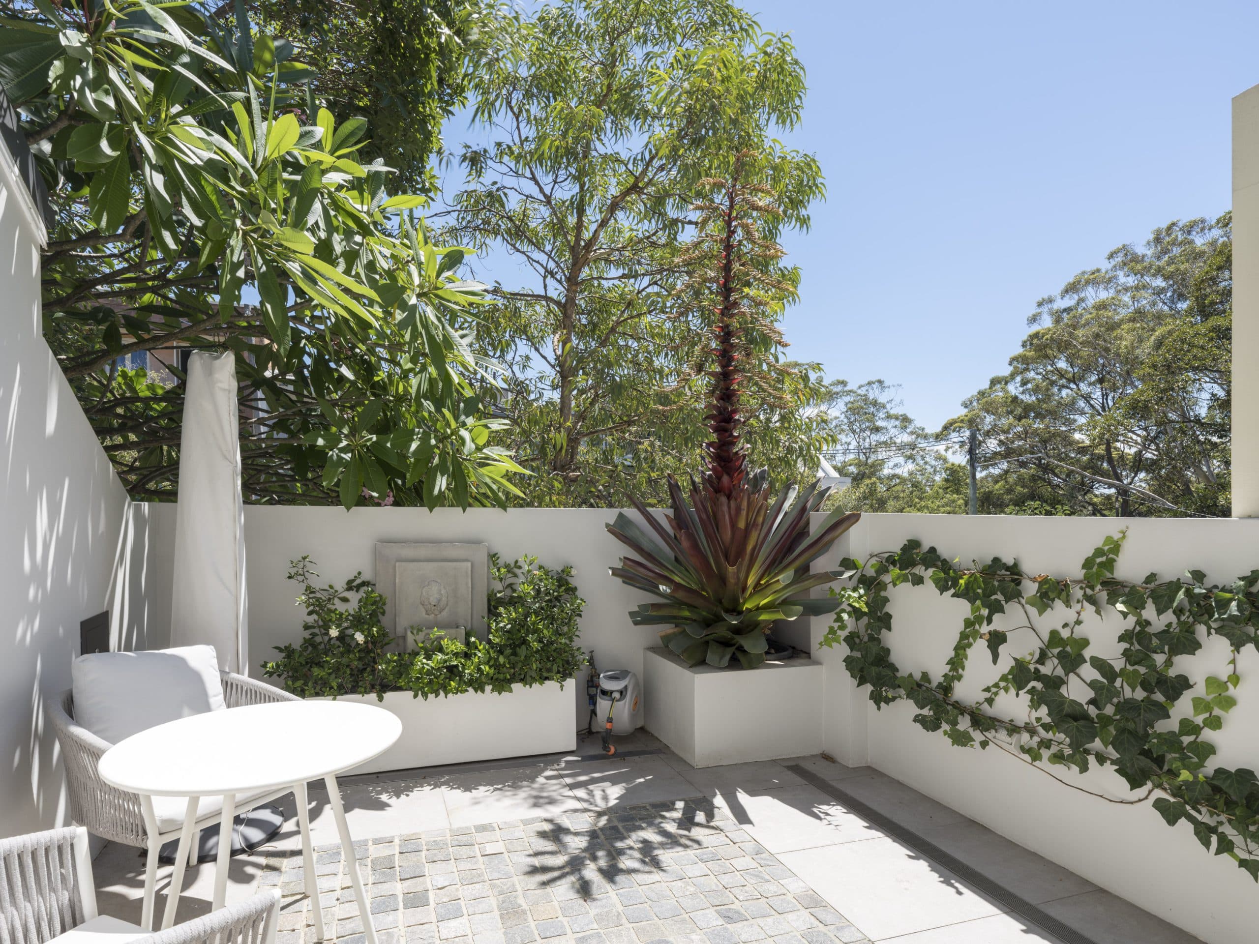 11 Raine Street, Woollahra - Thumbnail 6