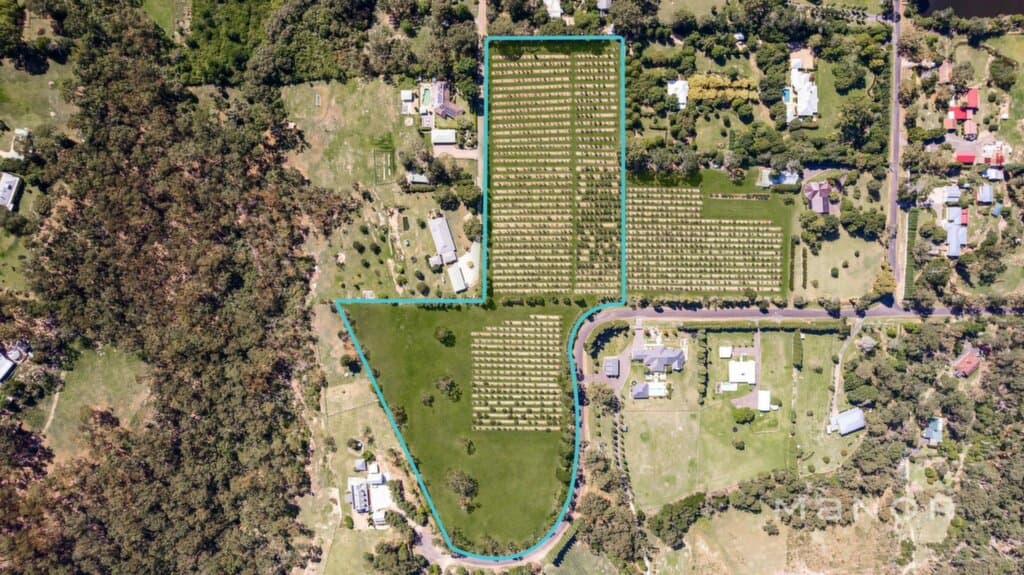 8 10 Henstock Road Arcadia, Arcadia - Thumbnail 5
