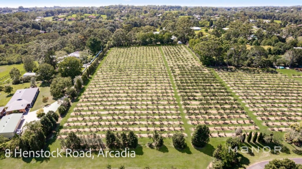 8 10 Henstock Road Arcadia, Arcadia - Thumbnail 8