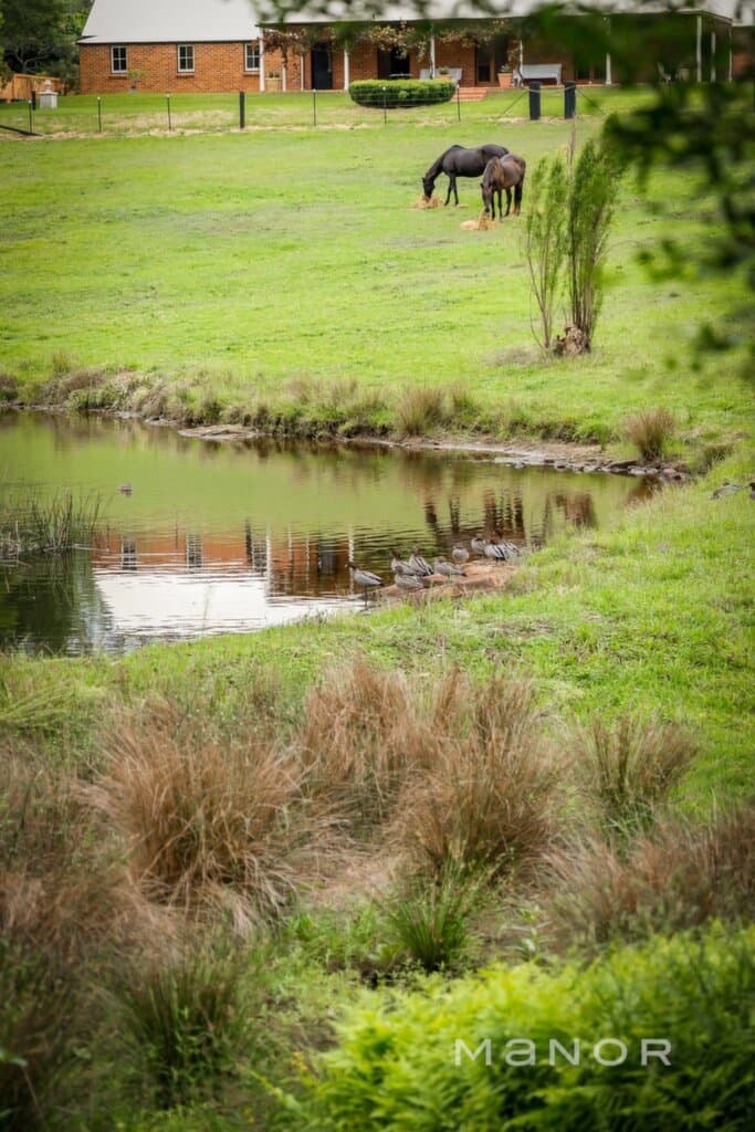 23 Fagans Road, Arcadia, NSW, Arcadia - Thumbnail 4