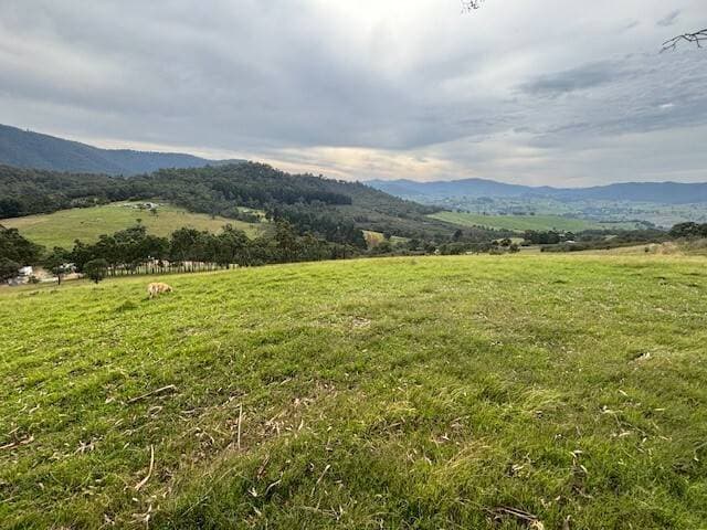 8102 Dargo Rd, Dargo VIC 3862, Dargo - Image 1