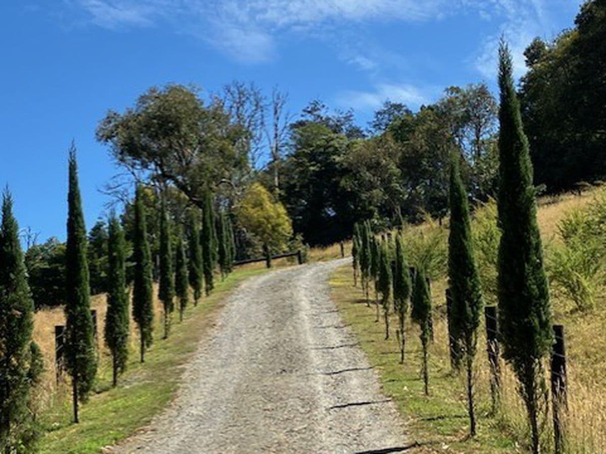 160 Nippards Track, Woorarra West, Woorarra West - Thumbnail 2