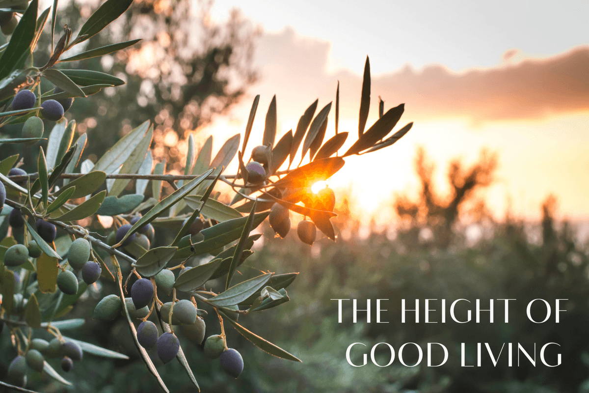 Lot 320 View, Gregory Hills - Thumbnail 4