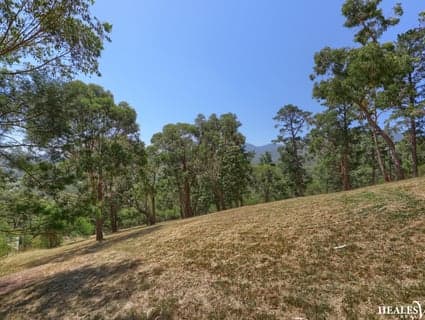 36 Monda Parade, Healesville, VIC, 3777, Healesville - Thumbnail 5