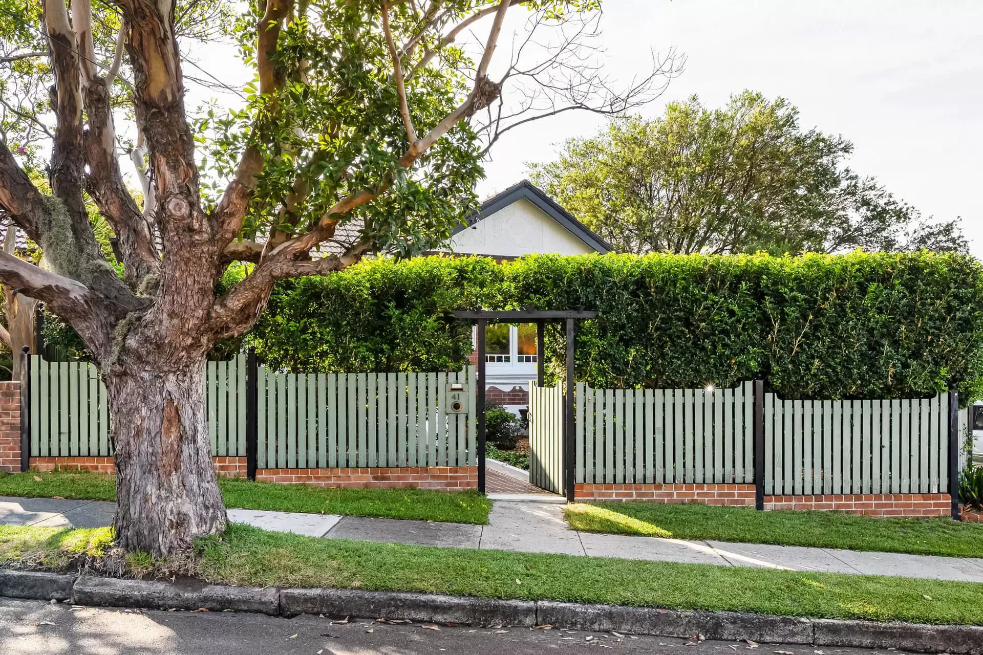 41 Melford Street, Hurlstone Park - Image 1