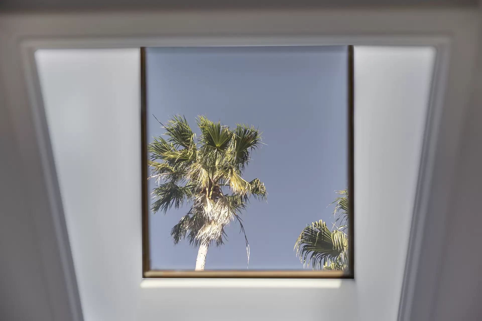 3/375 New Canterbury Road, Dulwich Hill - Thumbnail 6