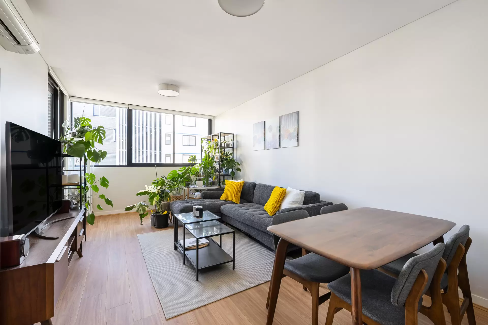 401/64 Charlotte Street, Campsie - Image 1
