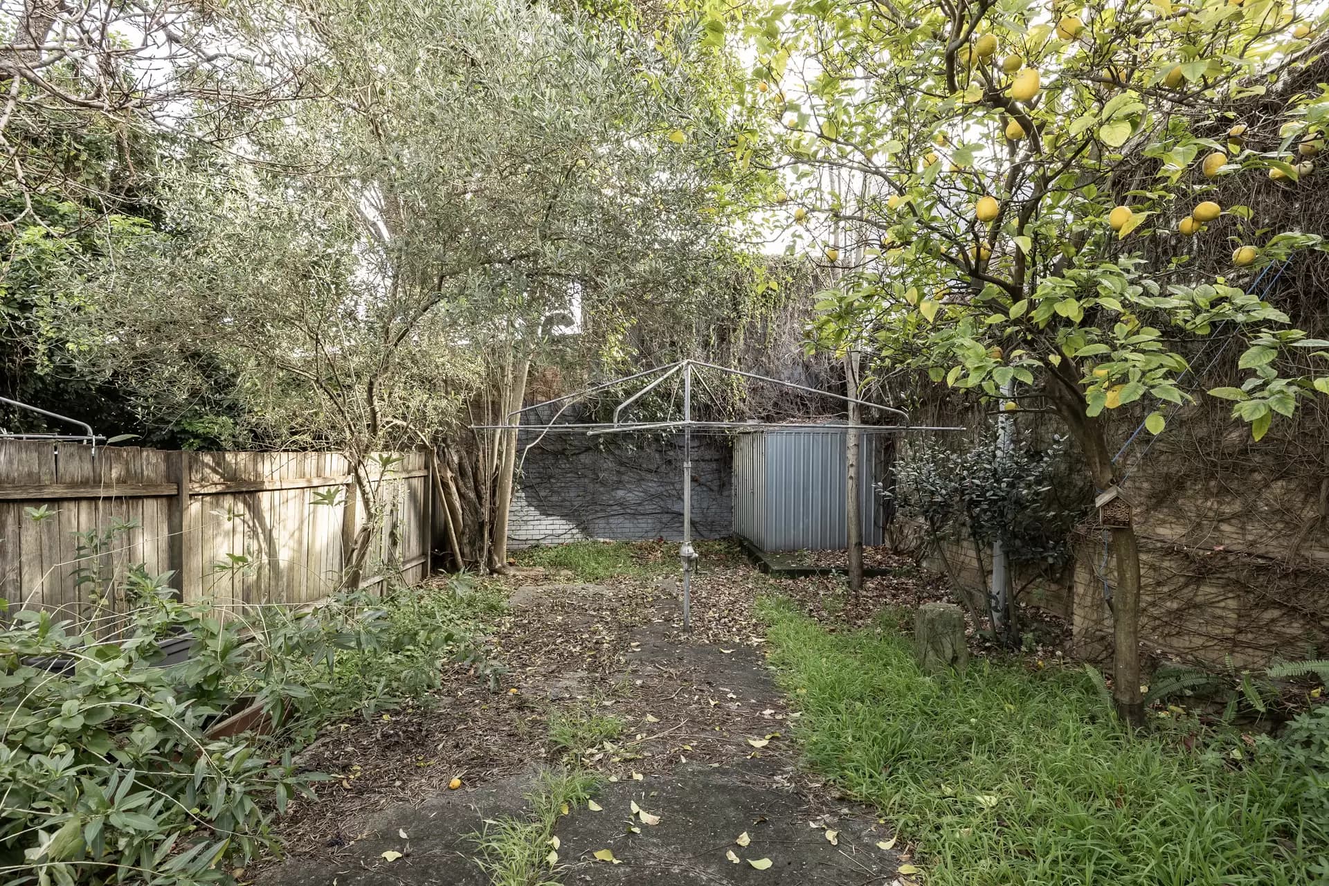 10 Andreas Street, Petersham - Thumbnail 6