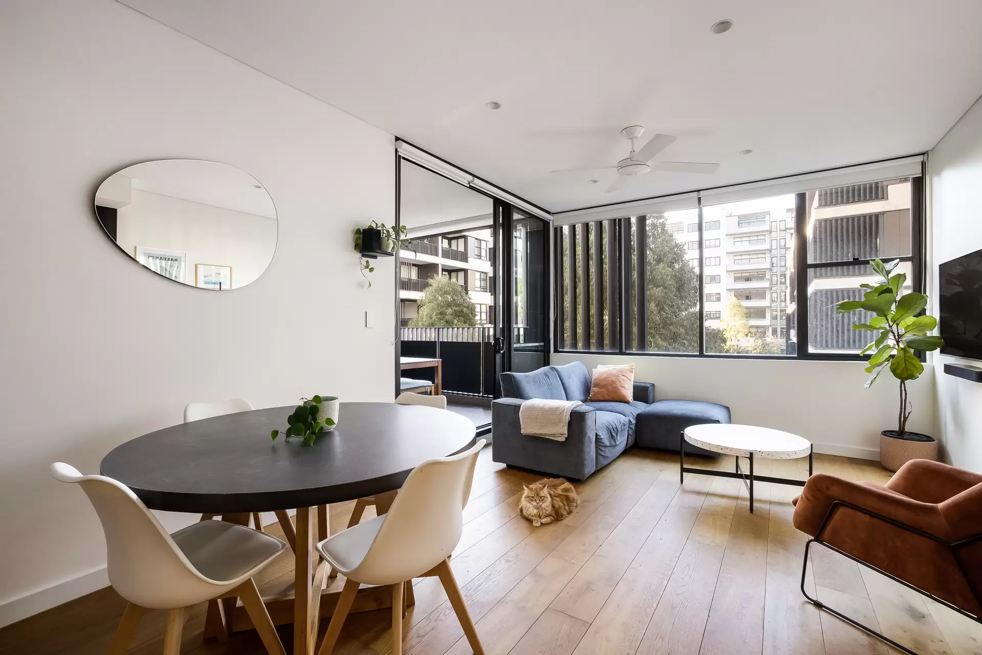 205/22B George Street, Leichhardt - Thumbnail 2