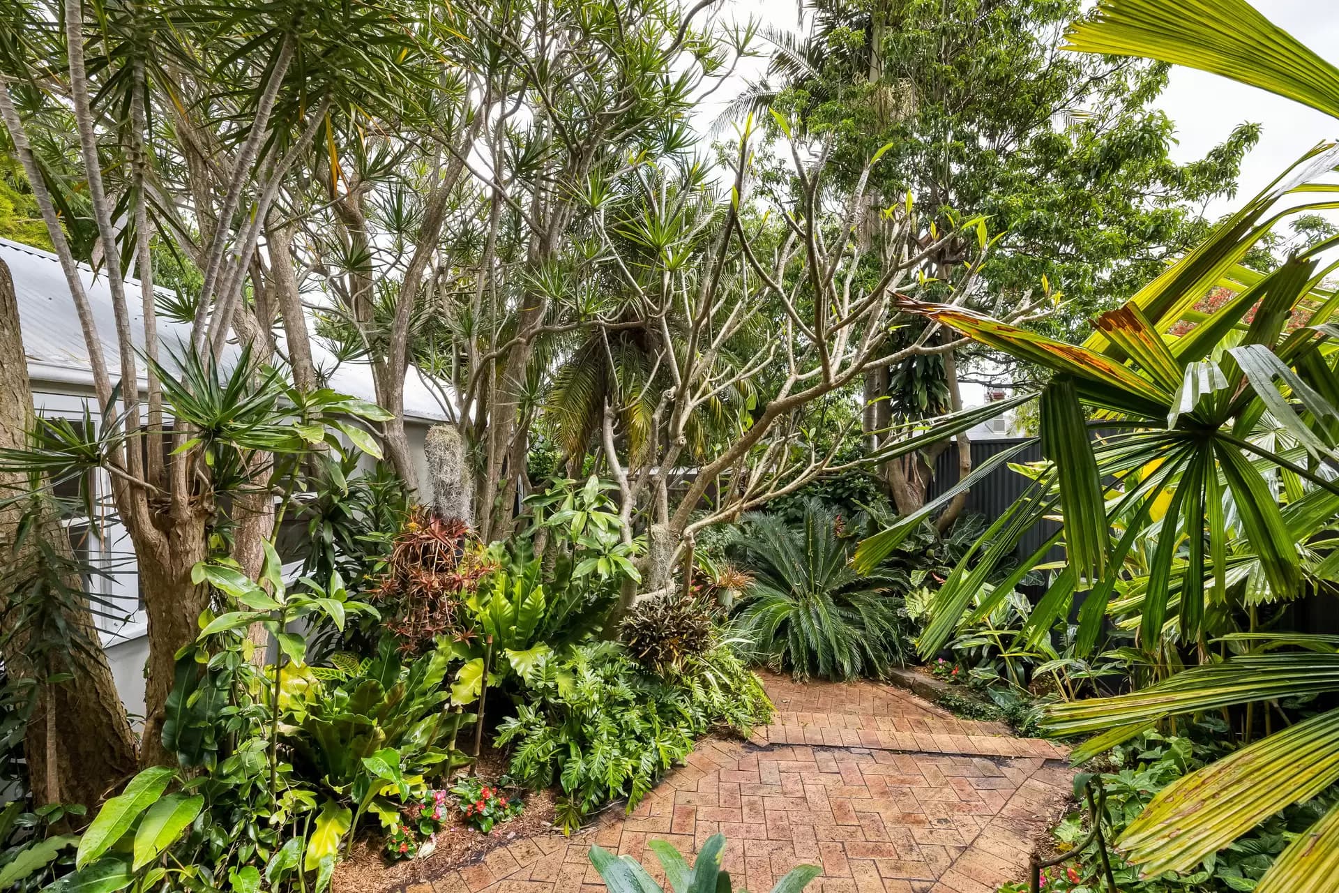 1 Nicholson Street, Tempe - Thumbnail 5