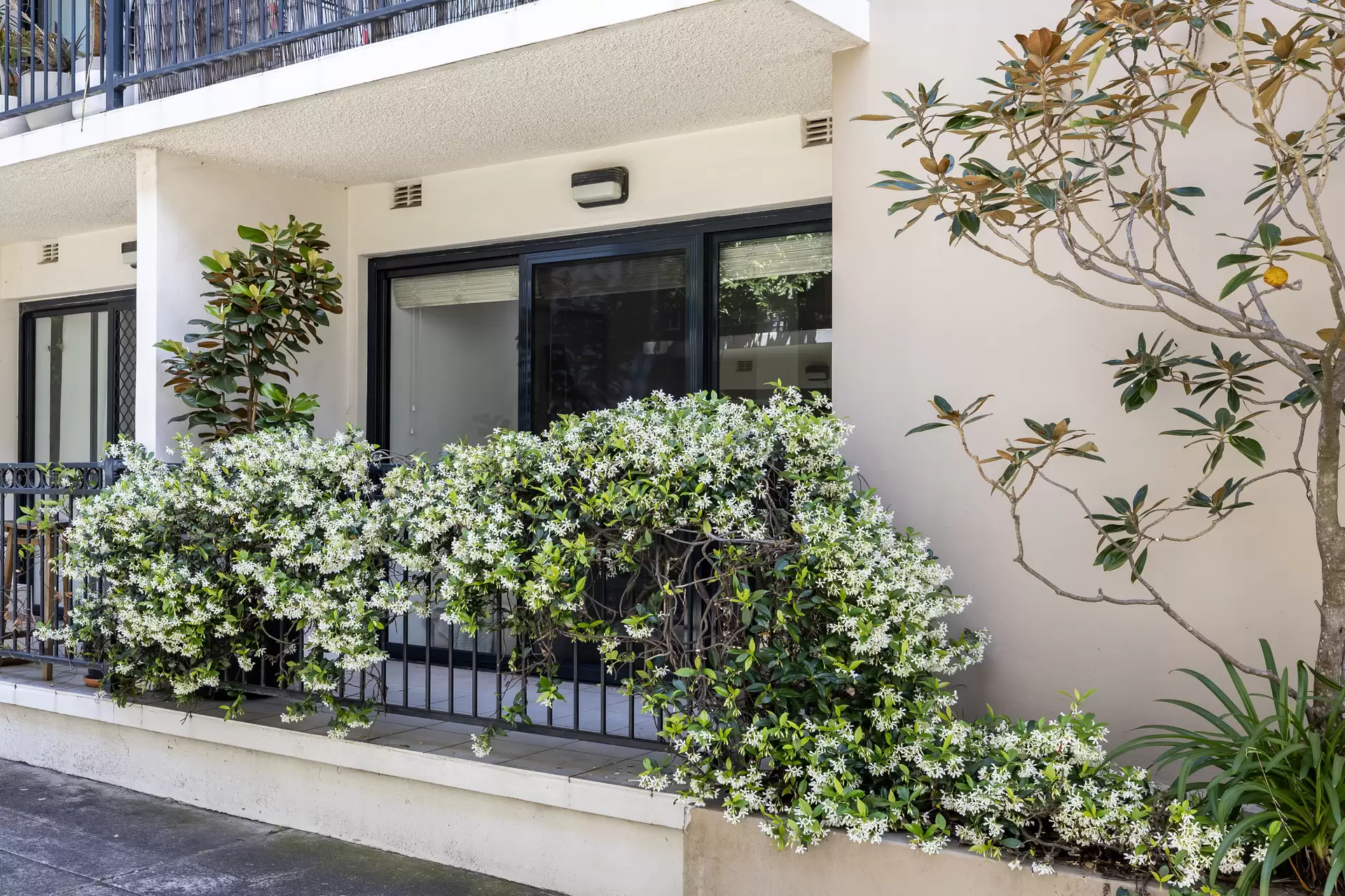 2/56A Cambridge Street, Stanmore - Thumbnail 7