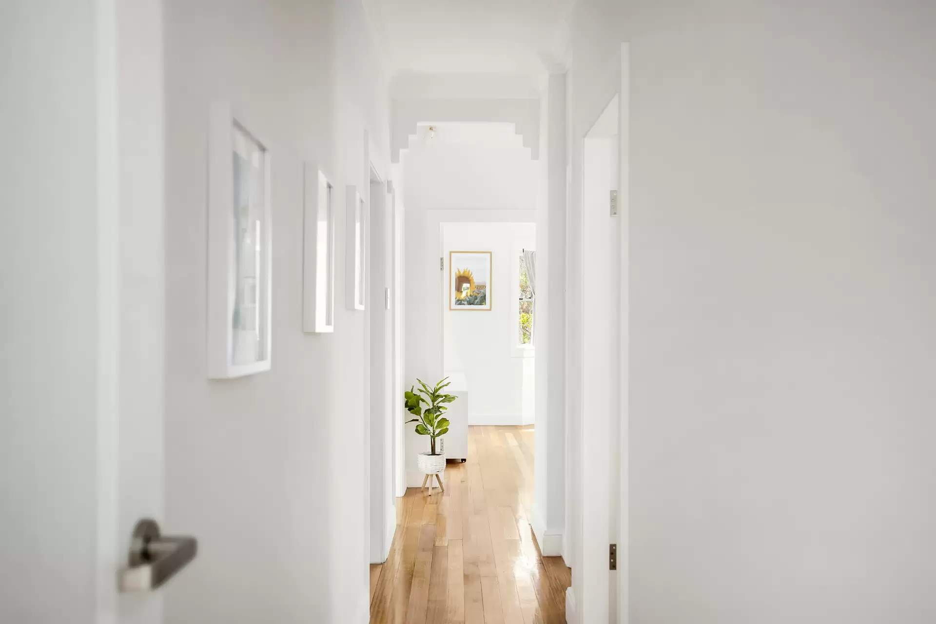 20 Winston Avenue, Earlwood - Thumbnail 6