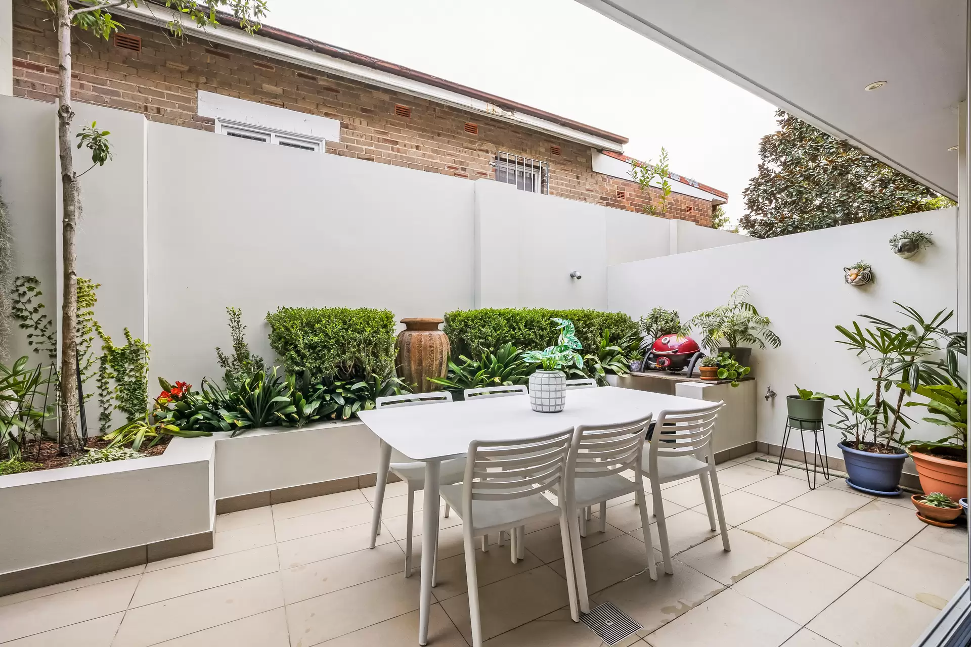4/2 Douglas Street, Stanmore - Thumbnail 5