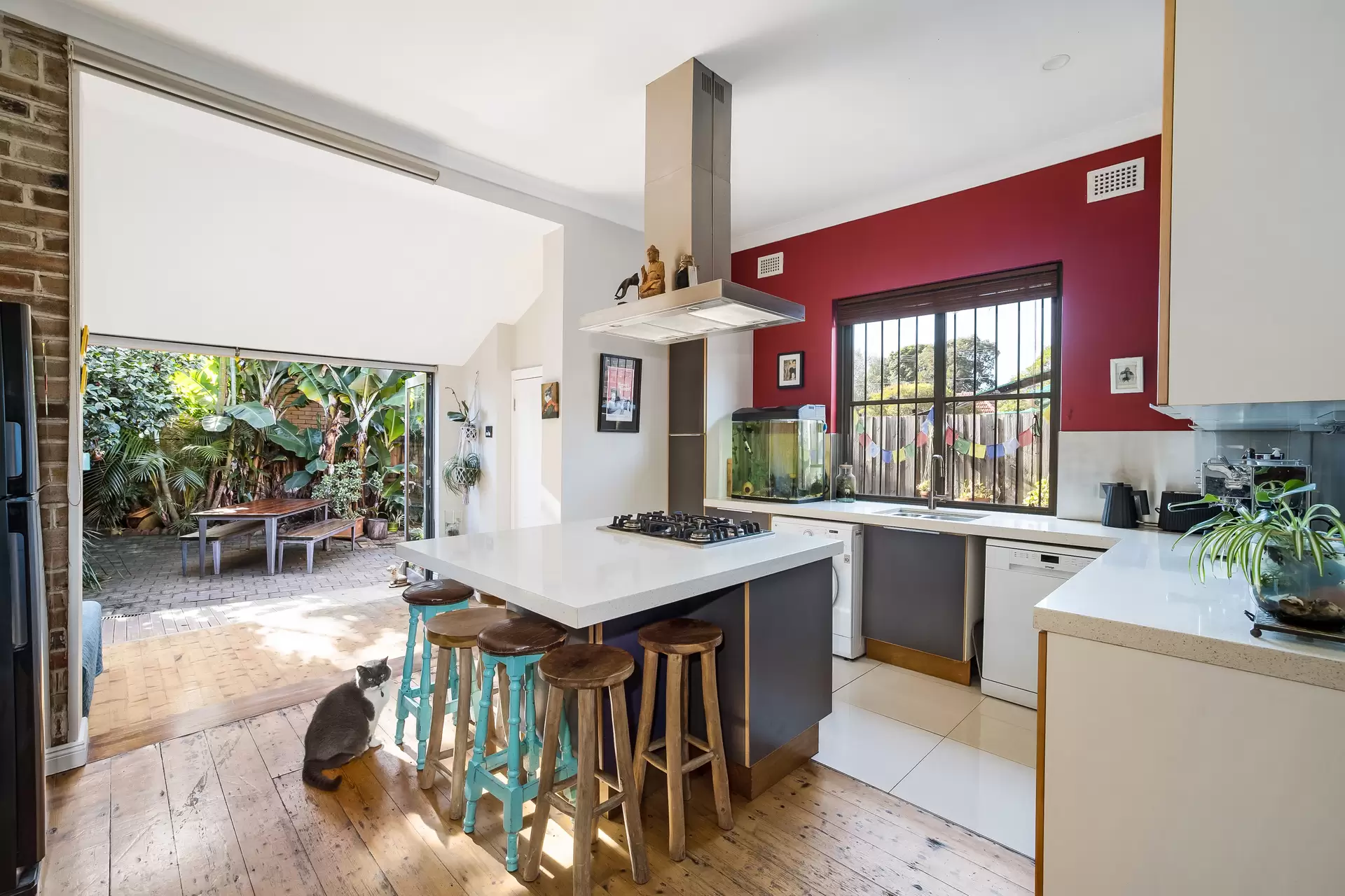 245 Sydenham Road, Marrickville - Thumbnail 7