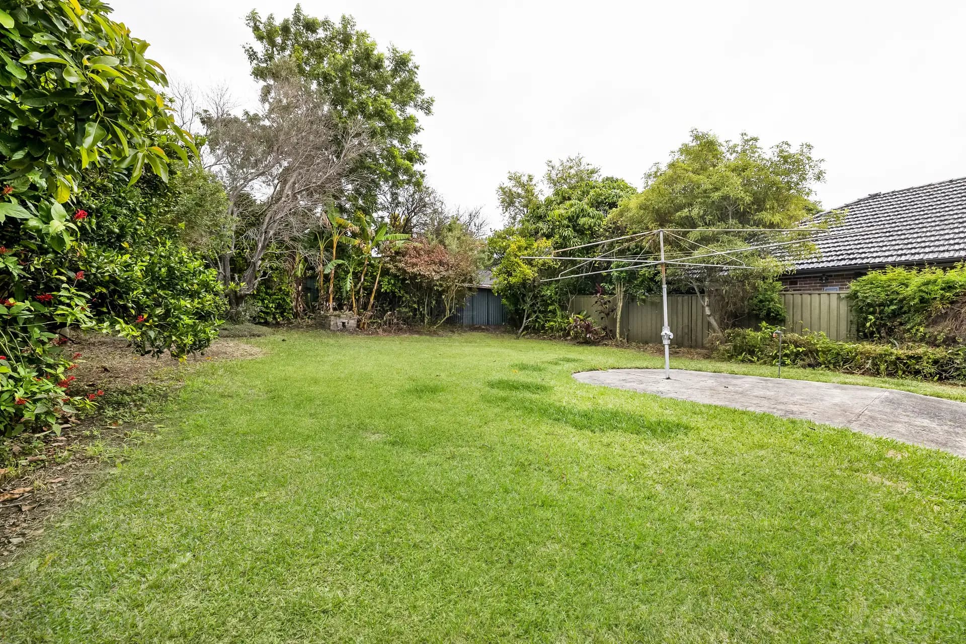 25 Hocking Avenue, Earlwood - Thumbnail 5