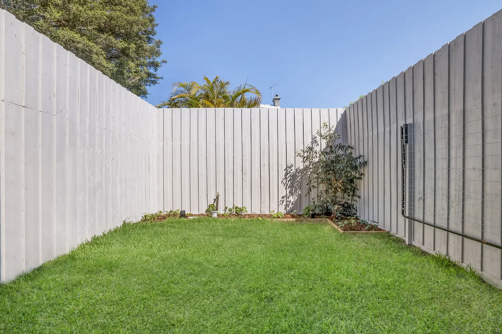 43 Pearl Street, Newtown - Thumbnail 7