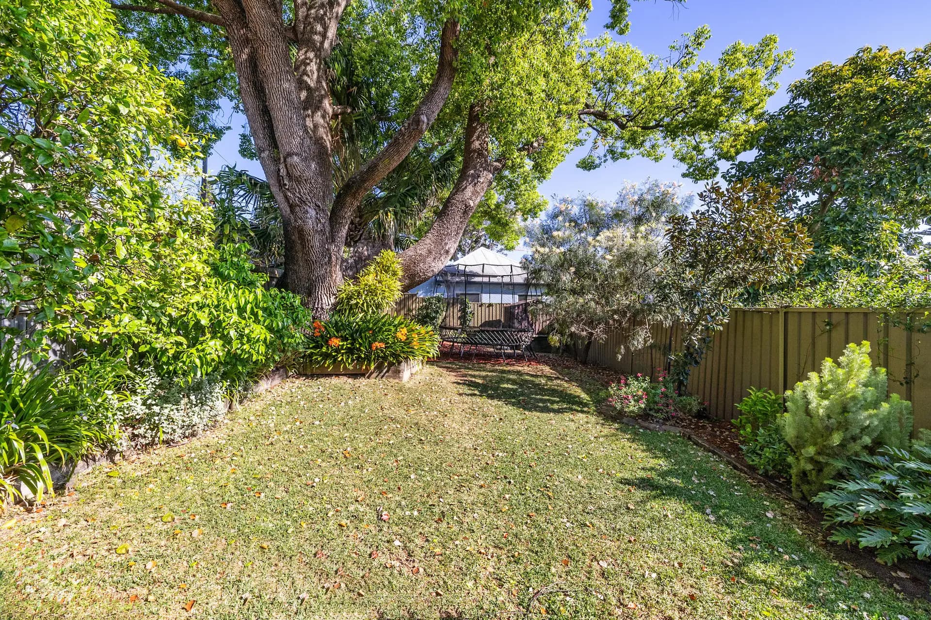 3 Brighton Street, Petersham - Thumbnail 8