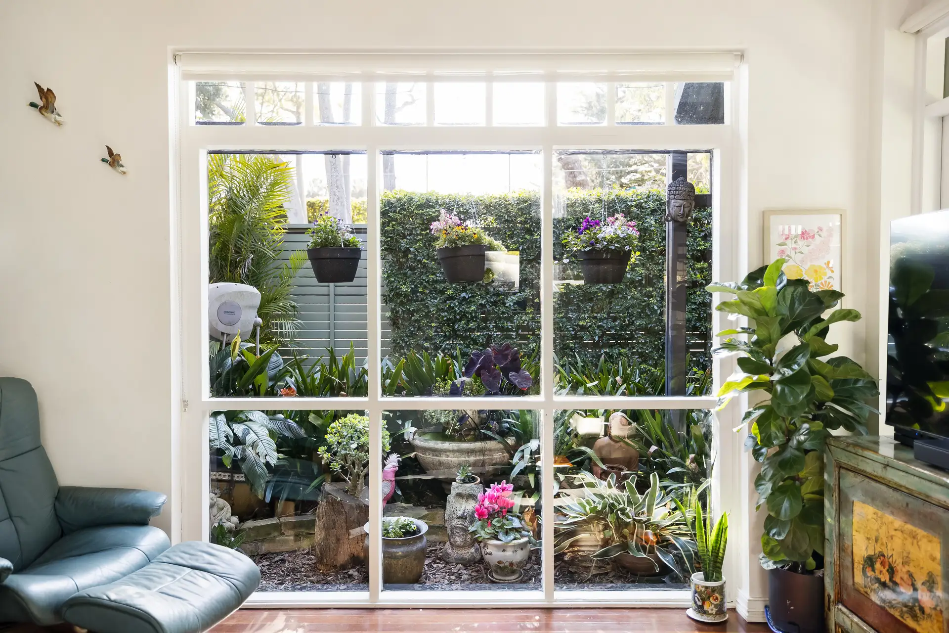 43 England Avenue, Marrickville - Thumbnail 8