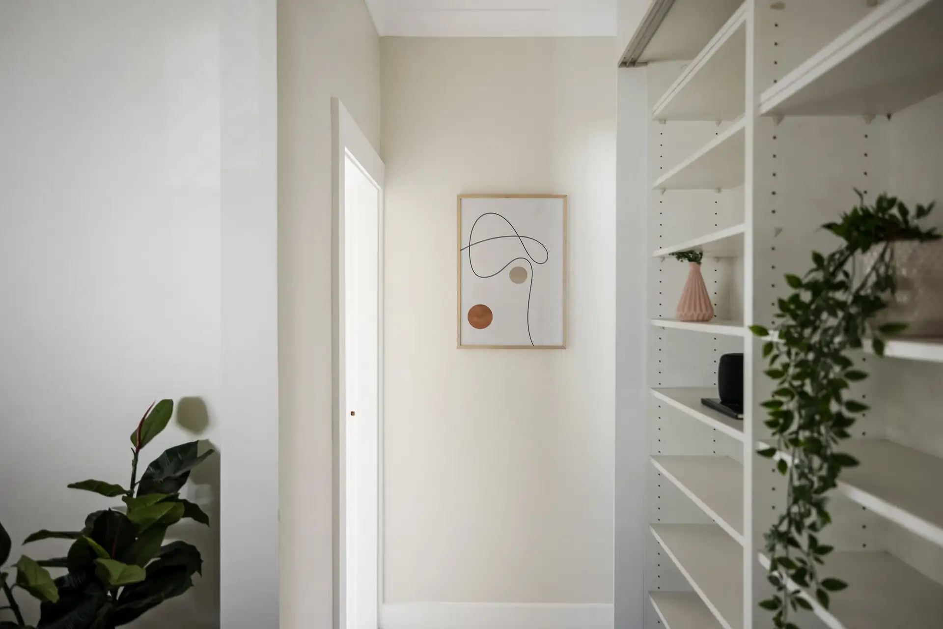 2 Wairoa Street, Canterbury - Thumbnail 8